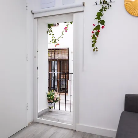 Oasis Relax By Principe1 Apartment